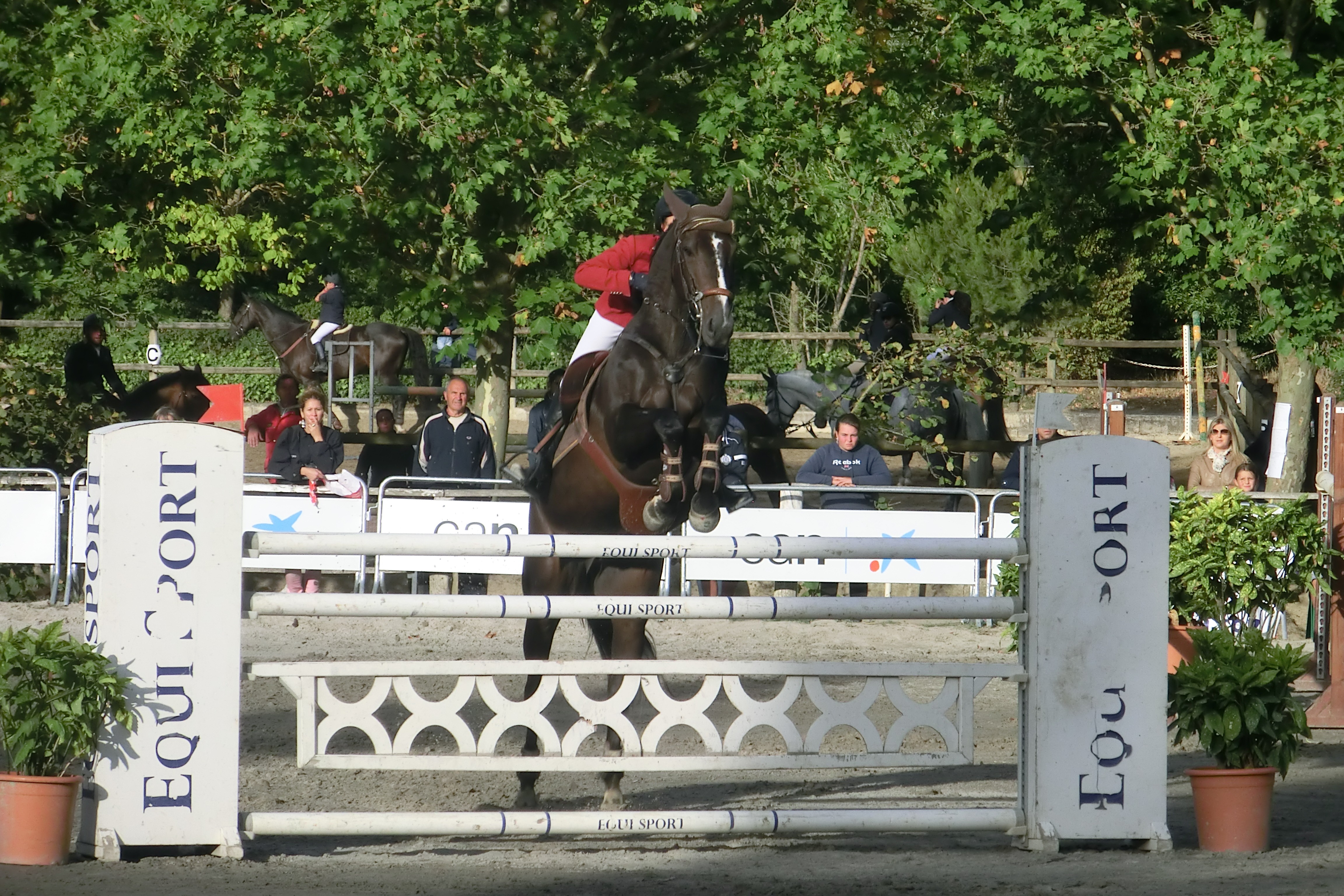 XXII Gran Premio San Fermin &quot;Memorial Teresa Moreno&quot;